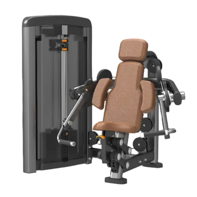 Commercial Gym Equipment Thailand | Elite Fitness Supply 5 SN Series